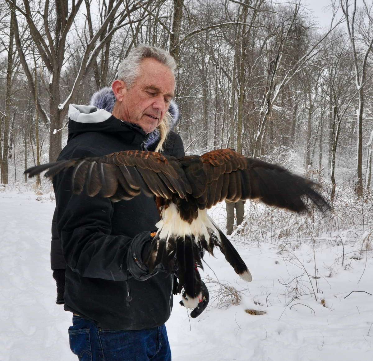 Don’t Forget RFK Jr.’s Weird, Violent History with Animals