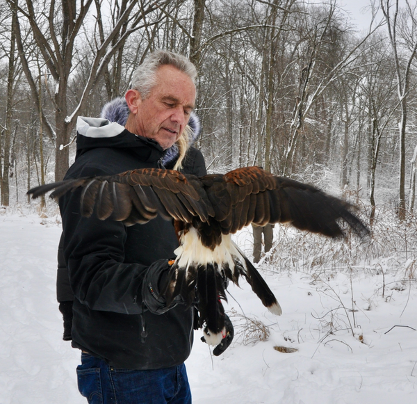 Don’t Forget RFK Jr.’s Weird, Violent History with Animals